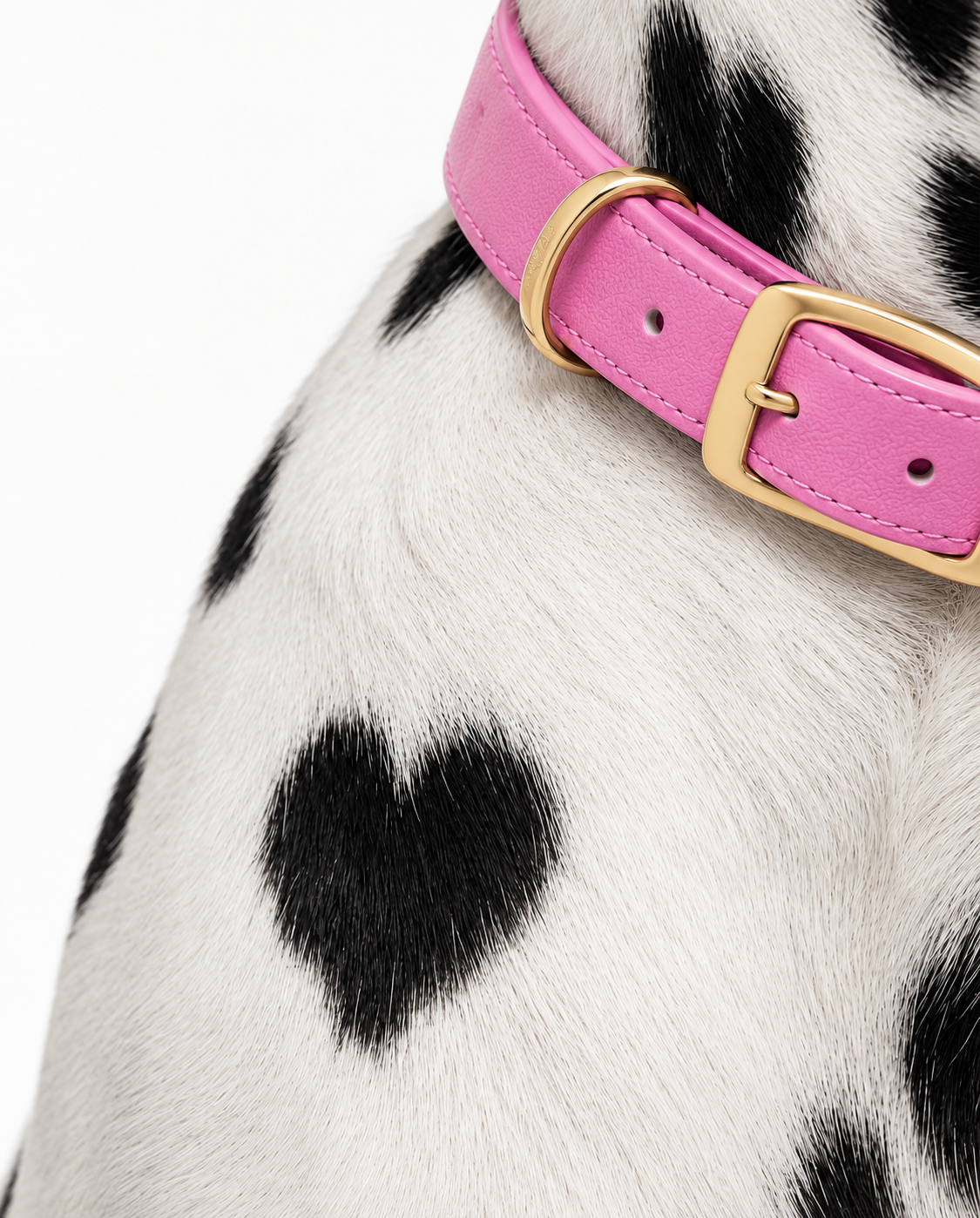 Collar Premium