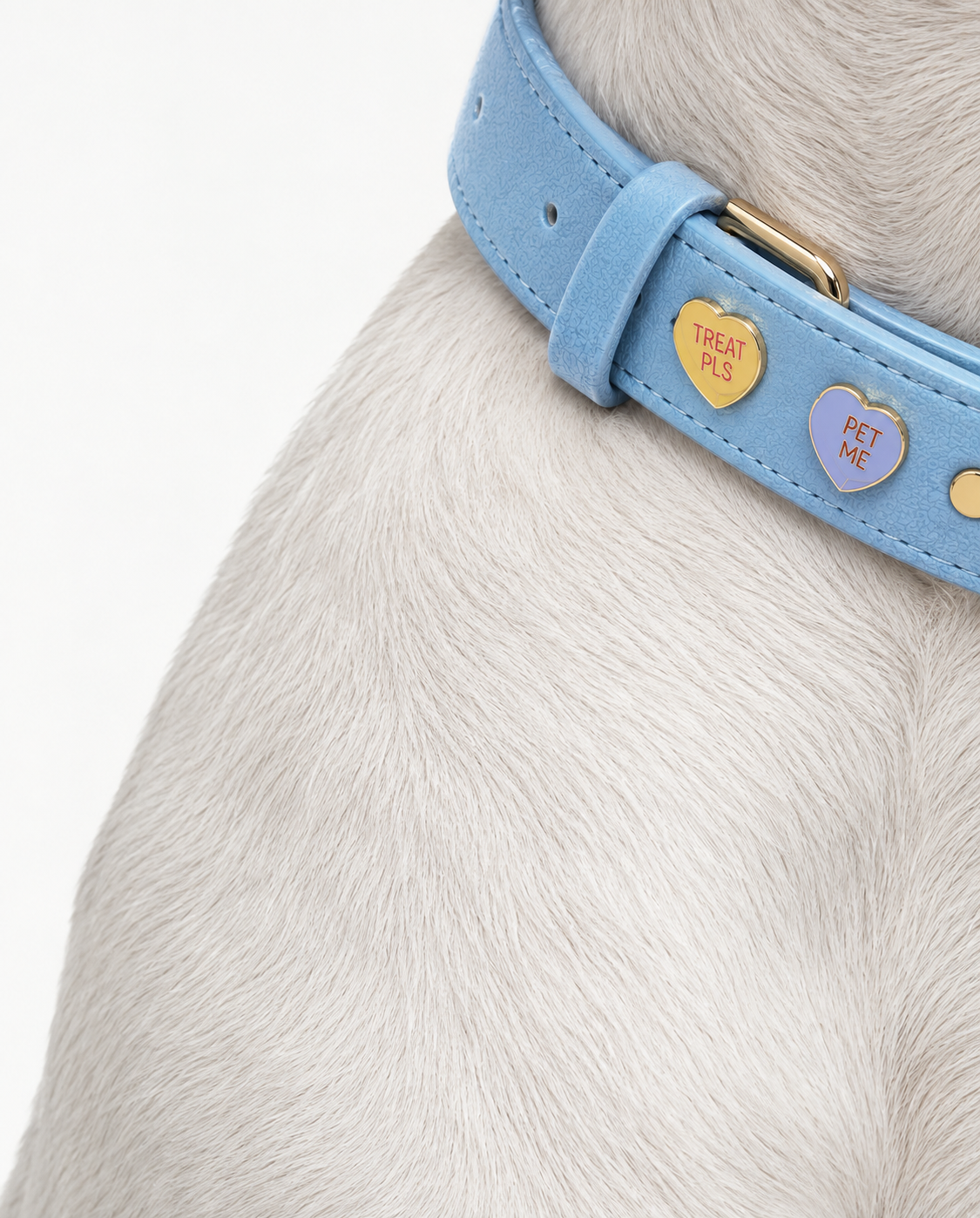 Collar Premium