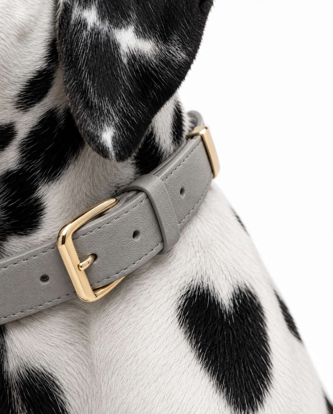 Collar Premium