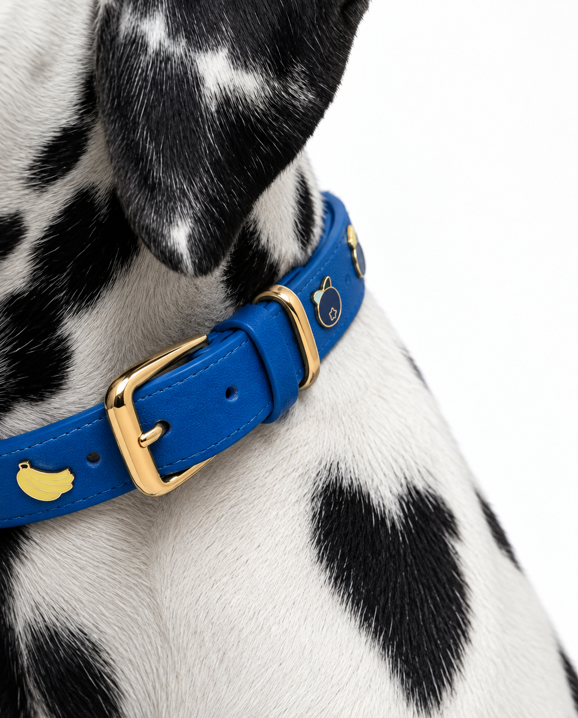 Collar Premium